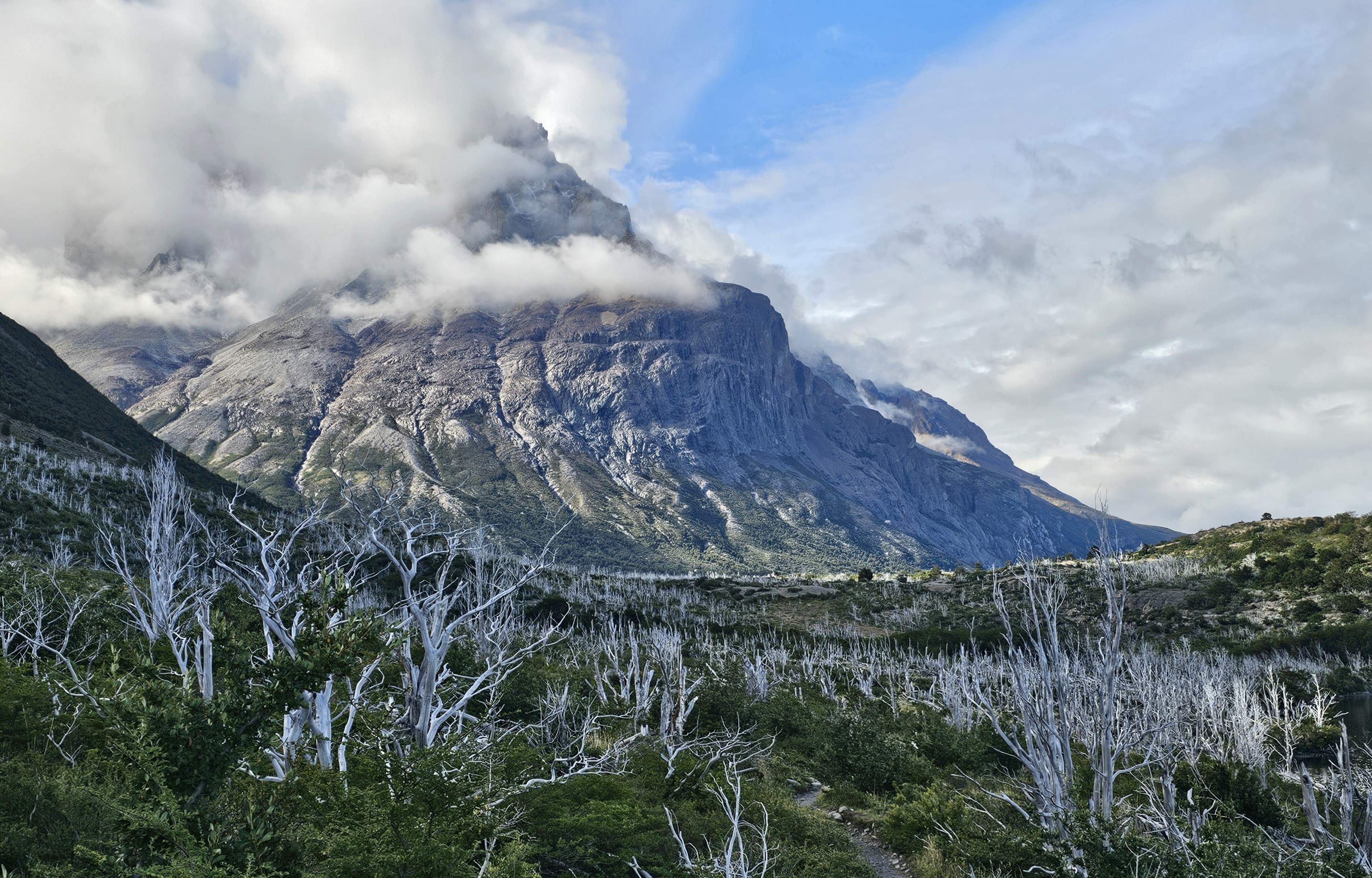 Torres del Paine